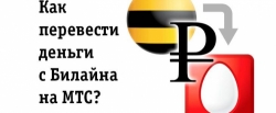 Как перевести деньги с телефона Билайн на МТС? Пара кликов, и деньги на месте!